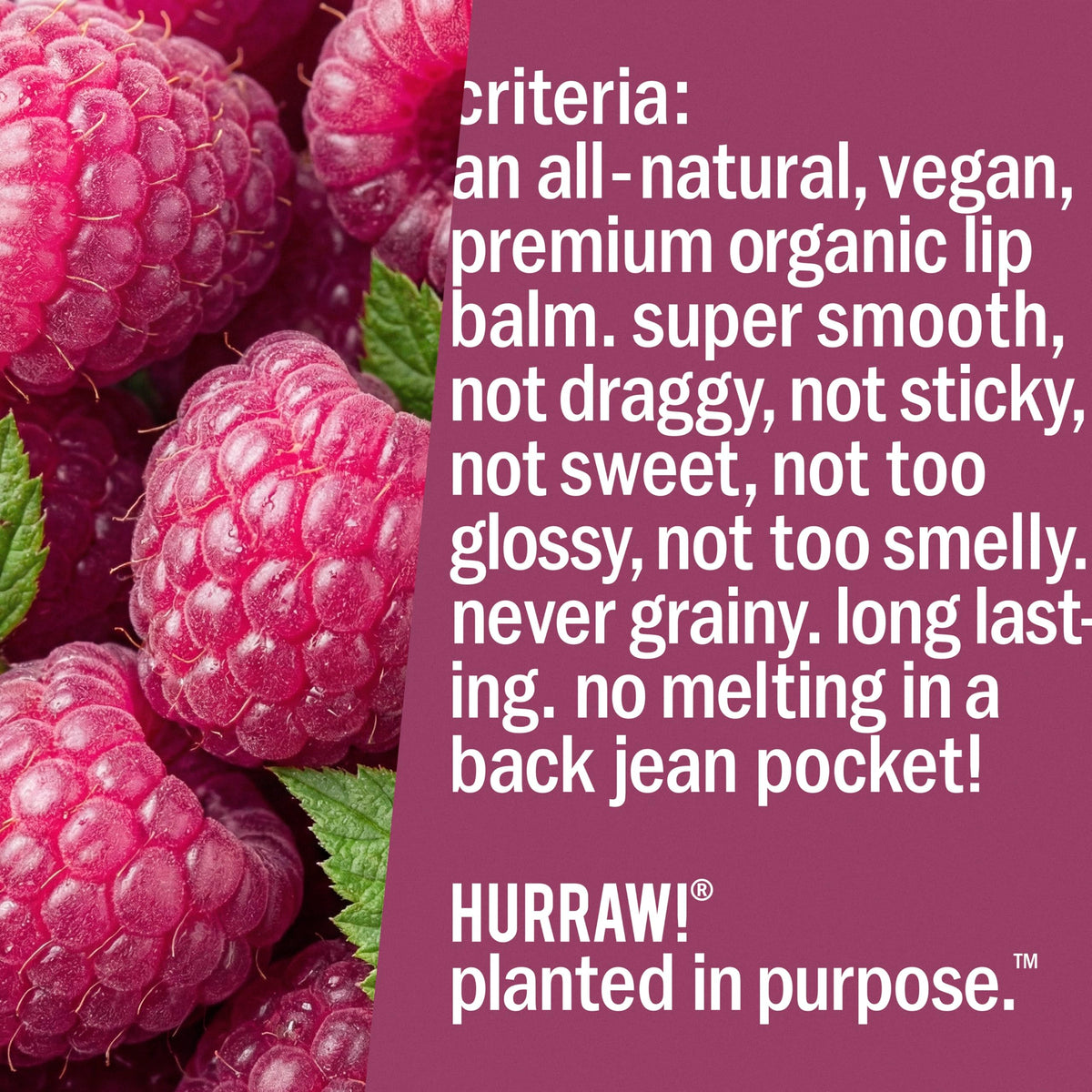 Hurraw! Hazelnut tinted lip balm packaging emphasizes three-tube eco-friendly gift.