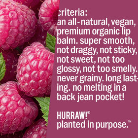 Hurraw! Hazelnut tinted lip balm packaging emphasizes three-tube eco-friendly gift.