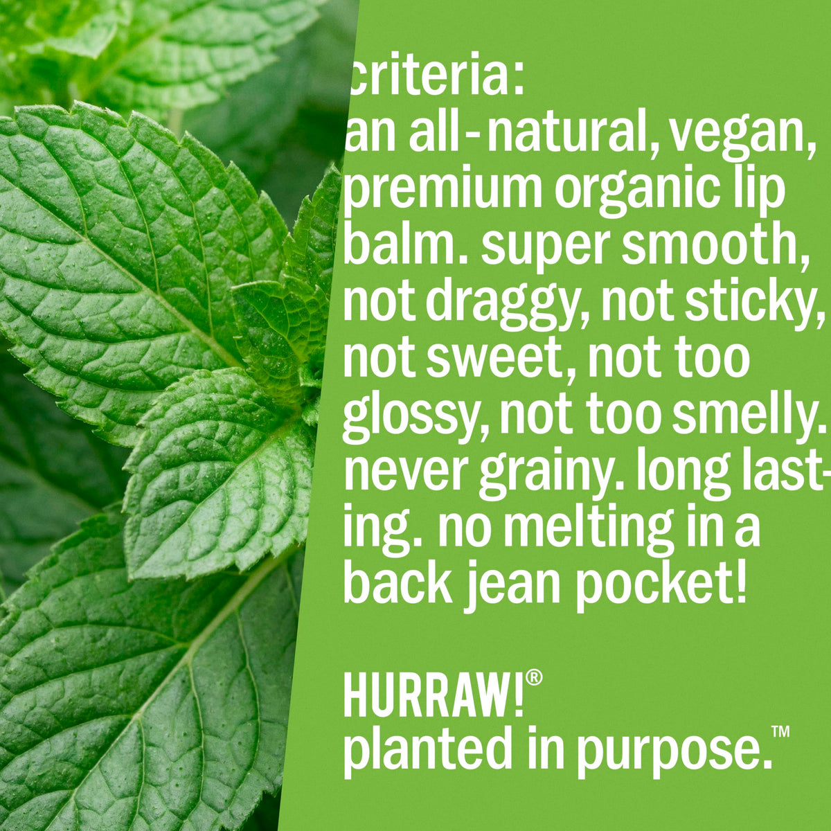Hurraw! Mint lip balm ingredients label closeup shows natural origins