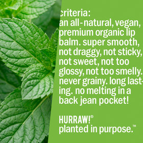 Hurraw! Mint lip balm ingredients label closeup shows natural origins