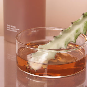 Cactus and ceramide NP ingredients signaling barrier-friendly moisturization.