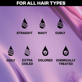 IGK Blonde Pop display emphasizes purple hue that supports cool-toned color.