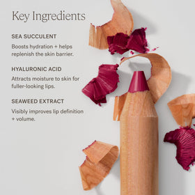 ILIA Lip Sketch Kiln close-up shows creamy texture with soft-matte finish