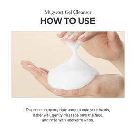 I'm from Mugwort Gel Cleanser application routine on skin conveys gentle daily cleanse.
