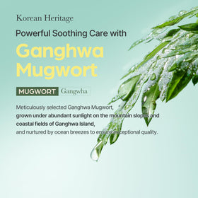I'm From Mugwort Mask vegan formula supports gentle skin care.