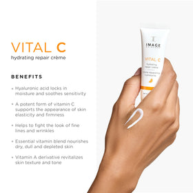 IMAGE Skincare Vital C travel bag with 3-piece routine for on-the-go use.