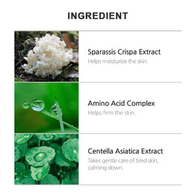 INCELLDERM botanical extracts emphasizing plant-based nourishment for skin.