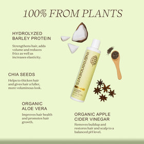 Close-up of barley protein and chia seeds in the formula