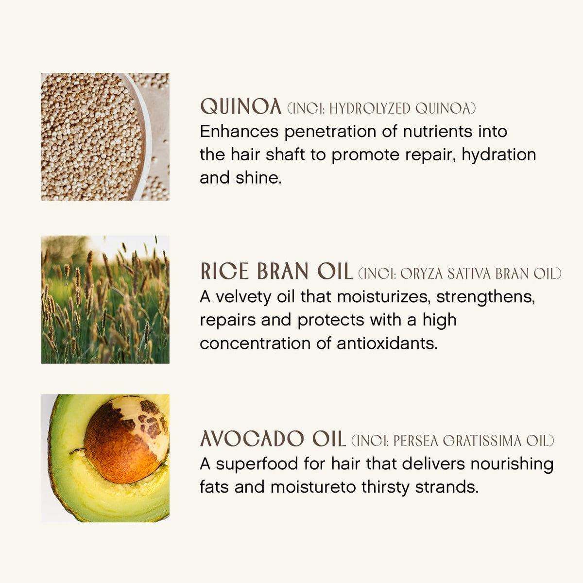 INNERSENSE Hairbath Shampoo scalp balance closeup highlighting oil-control potential.