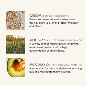INNERSENSE Hairbath Shampoo scalp balance closeup highlighting oil-control potential.