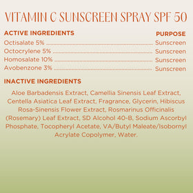 InstaNatural spray-on face application, transferred to hands before use.