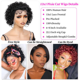 INSTASTYLE short curly wig pixie 8inch back view with volume and shape