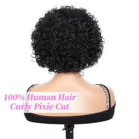 INSTASTYLE short curly wig pixie 8inch lace-front close-up highlights Swiss lace comfort