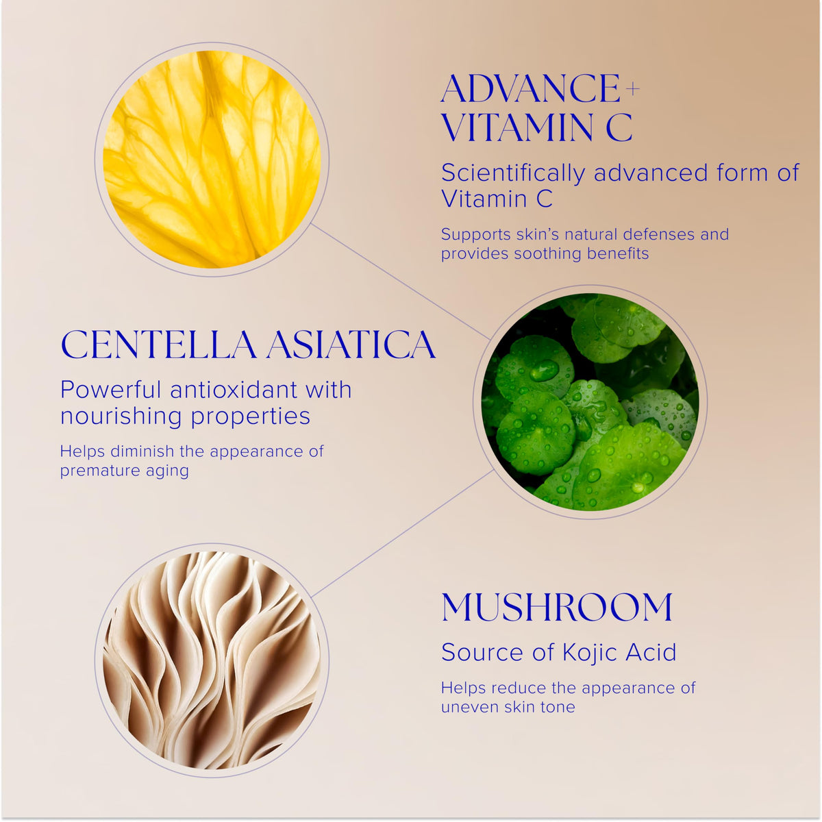 iS CLINICAL Super Serum Advance+ packaging box with antioxidants and skin tone benefits