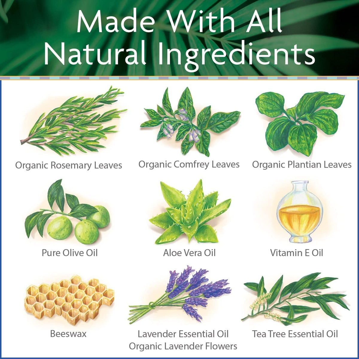 Island Soap & Candle Works Surfer's Salve plantain leaf ingredient