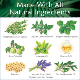 Island Soap & Candle Works Surfer's Salve plantain leaf ingredient