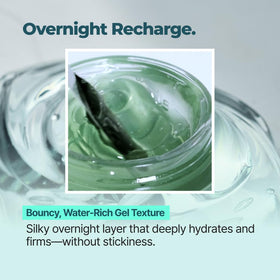 IsNtree Gim PDRN Deep Sleep Mask hyaluronic acids closeup highlights moisture.
