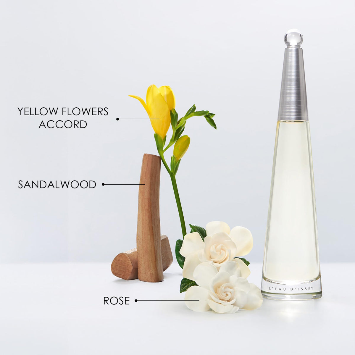Issey Miyake L'Eau d'Issey bottle front highlights minimalist elegance