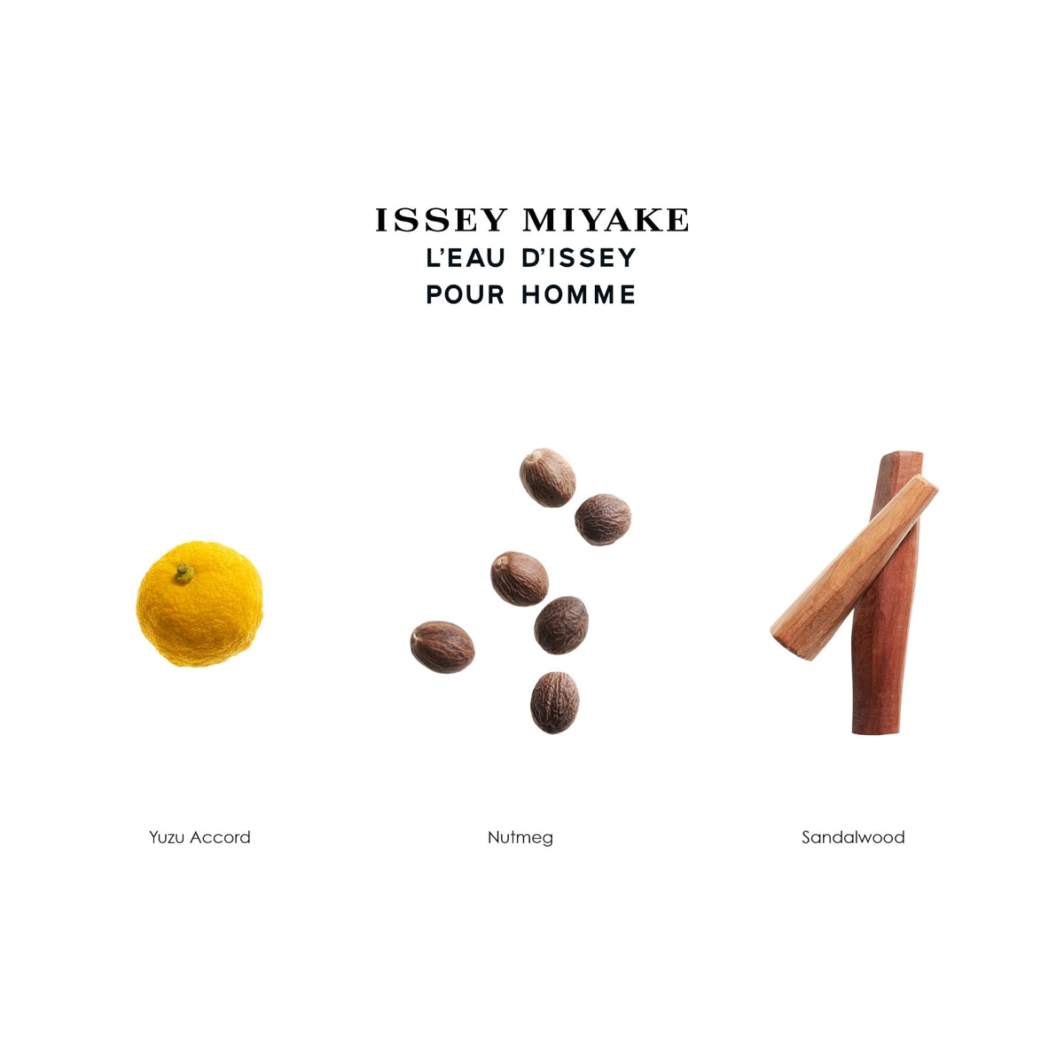 Issey Miyake L'Eau d'Issey Pour Homme gel lather close-up for refreshing cleanse.