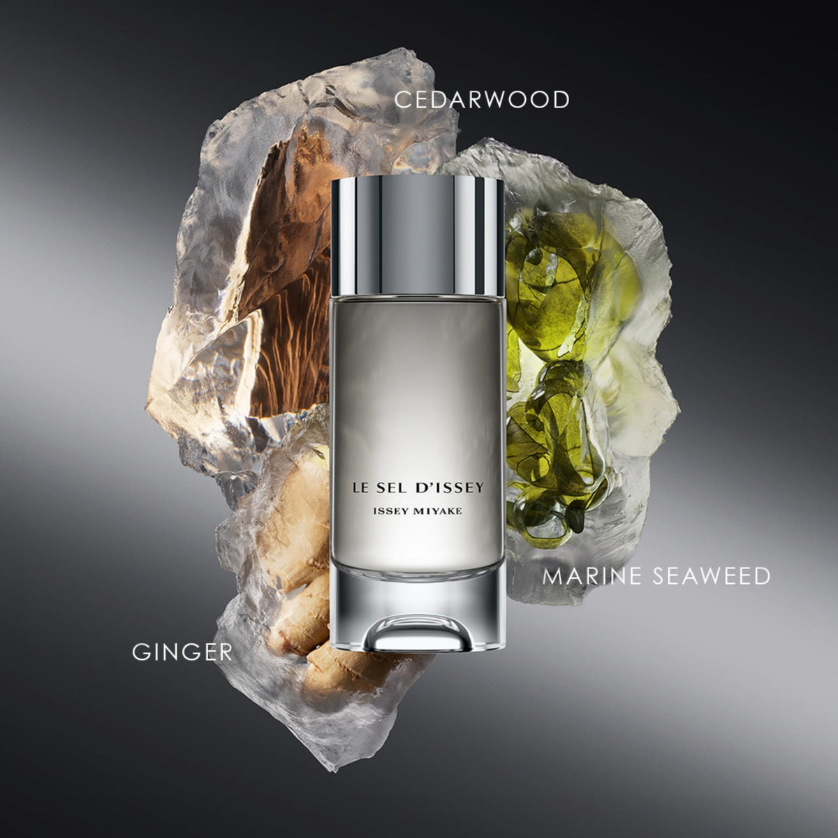 Issey Miyake Le Sel dIssey seaweed note evokes marine freshness.