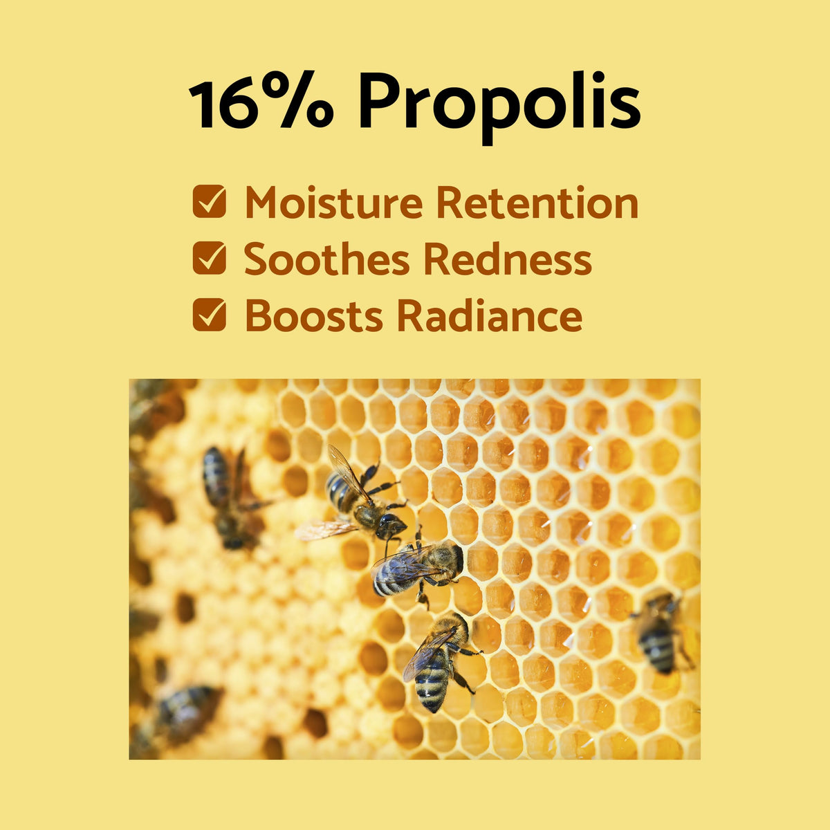 IUNIK Propolis Vitamin Sleeping Mask lid off reveals creamy formula.