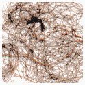 Jac-O-Net Mirage Ultra-Invisible Hair Net packaging, convenient 12-pack display.
