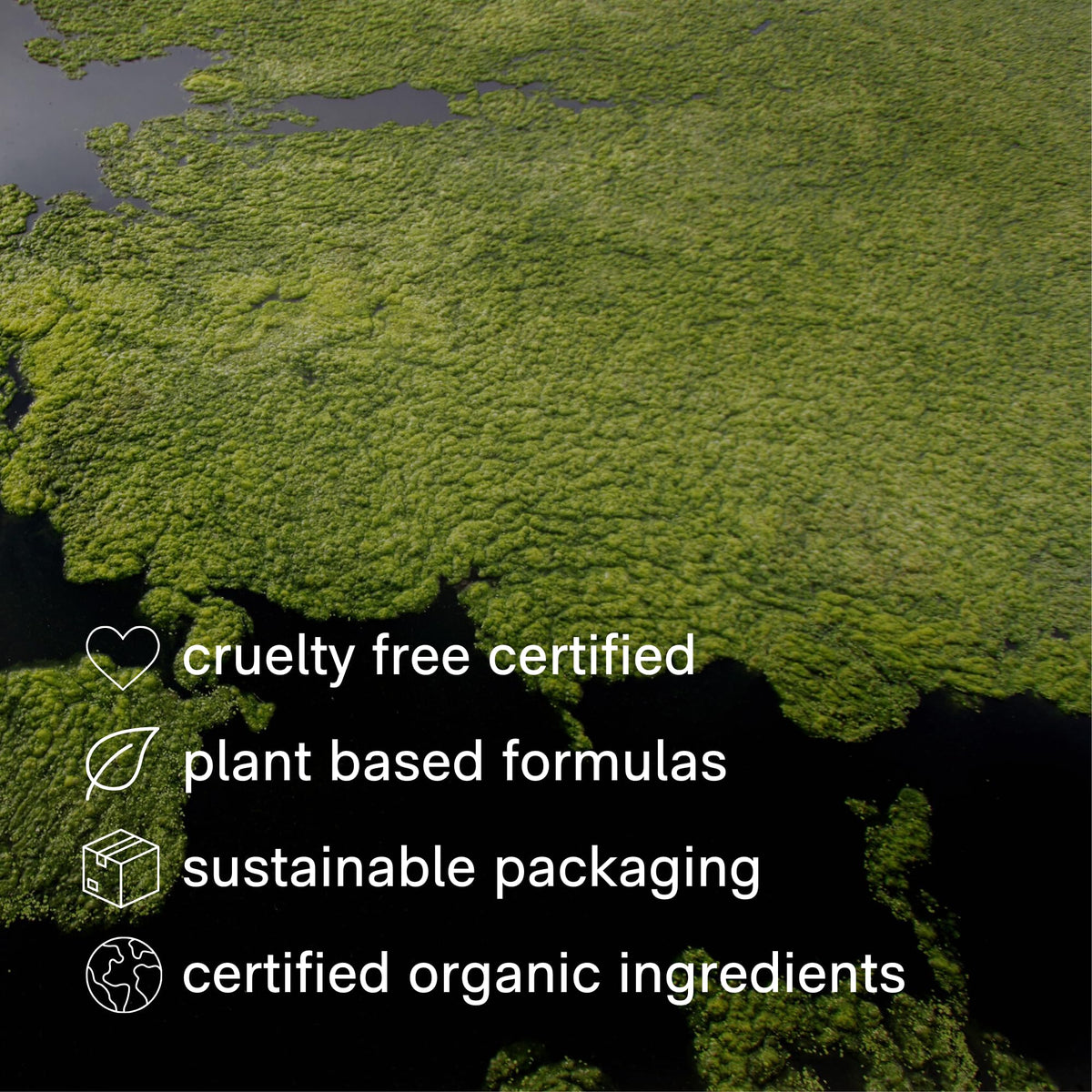 Jack Henry aerosol-free design supports safe daily use