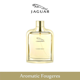Jaguar Classic Gold lifestyle male, perfect for evening occasions.