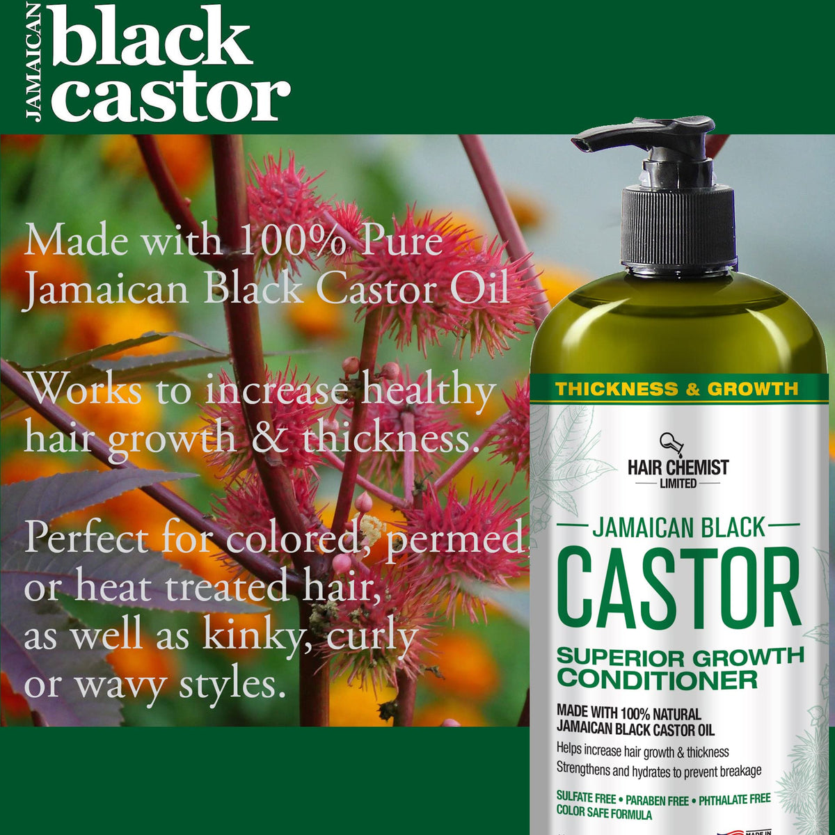 Jamaican Black Castor Oil Conditioner natural ingredients focus for scalp nourishment