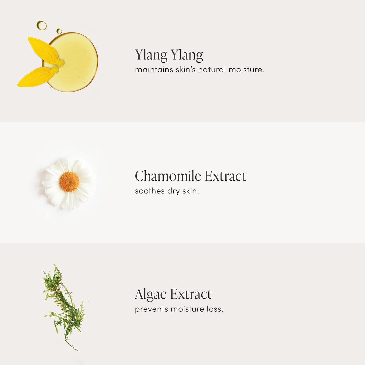 Jane Iredale D2O Hydration Spray with ylang-ylang helps balance sebum.
