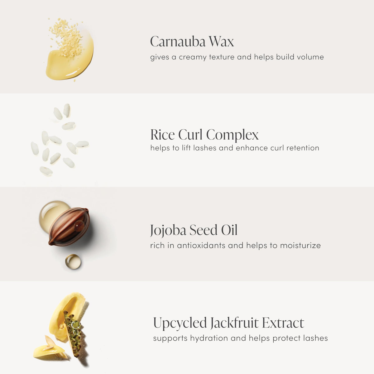 Jane Iredale Lash Fixation front-packaging image highlighting vegan cruelty-free branding.