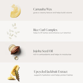 Jane Iredale Lash Fixation front-packaging image highlighting vegan cruelty-free branding.