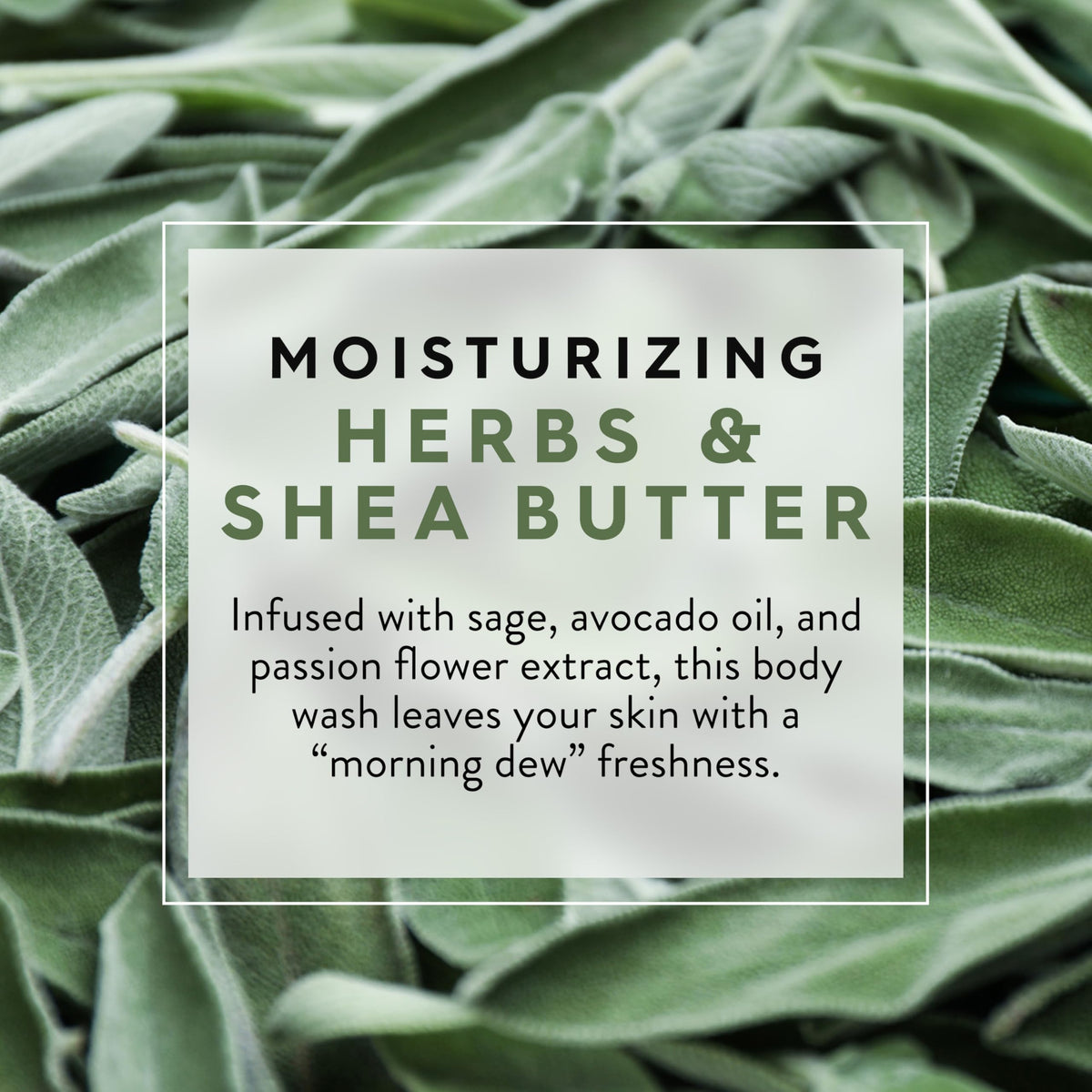 Vitamin E and botanical extracts in JASON body wash nourish skin