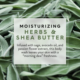 Vitamin E and botanical extracts in JASON body wash nourish skin
