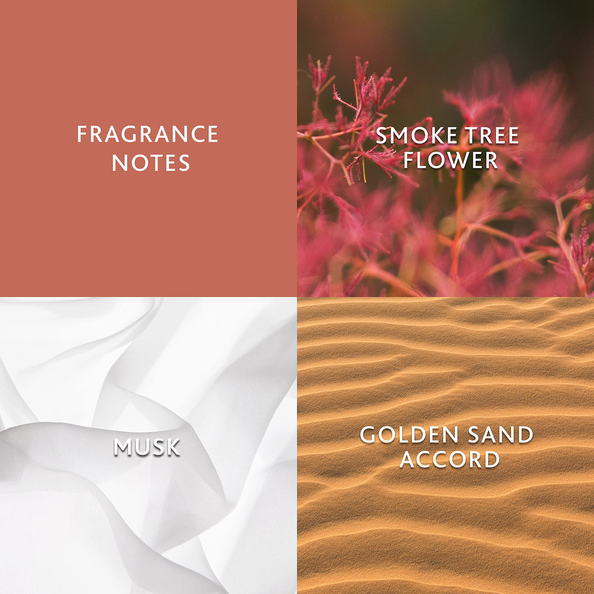 Jennifer Aniston Solstice Bloom sunrise box highlights premium packaging