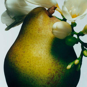 Close-up Jo Malone label with English Pear and Freesia fragrance