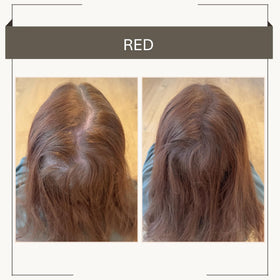 Included brush with Joan Rivers Great Hair Day fill-in powder for even application