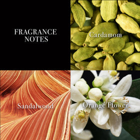 John Varvatos XX opening notes with cardamom feel bright and inviting.