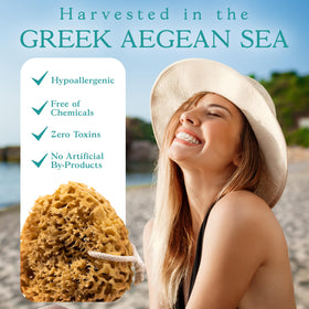 Jordan Benedict honeycomb sea sponge demonstrates high absorption for rich lather