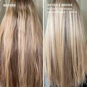 Close-up of Argan Milk and Argan Oil texture from Josie Maran conditioner.