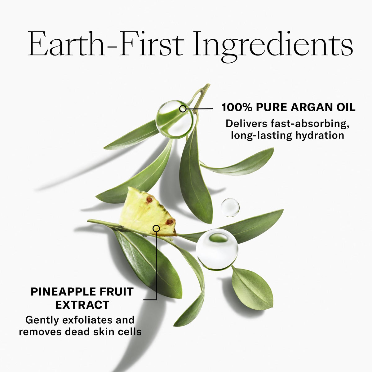 Ingredients highlight: argan oil and argan milk for nourishment