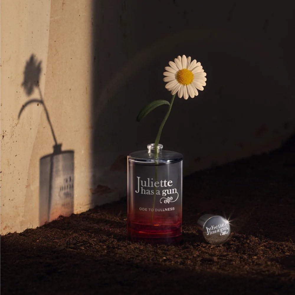 Juliette Has a Gun Ode to Dullness packaging box display ideal for gifting.