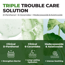Visual of Centella Asiatica, Madecassoside, and Allantoin components in JUMISO cream