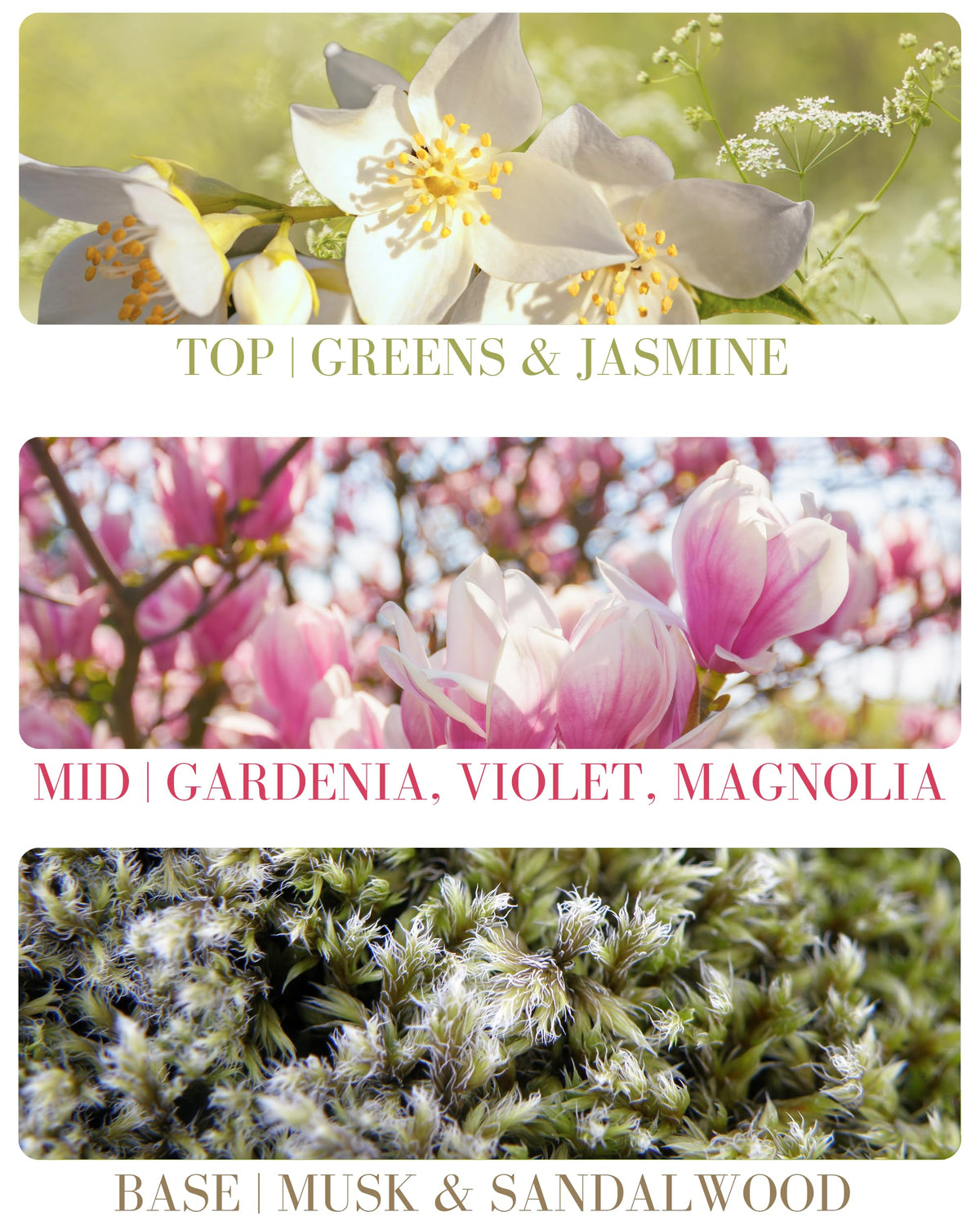 Kailuna Co jojoba oil base emphasizes skin-friendly scent delivery.