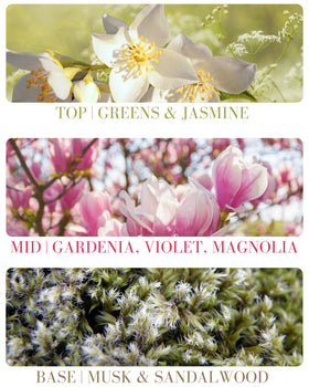 Kailuna Co jojoba oil base emphasizes skin-friendly scent delivery.