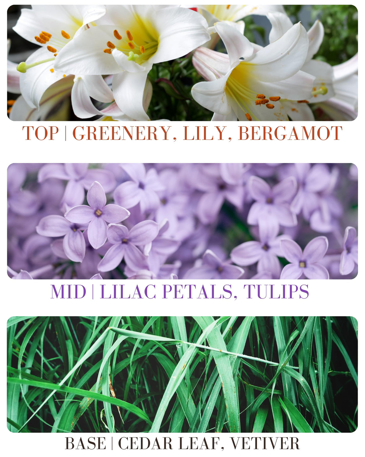 Kailuna Co. Lilac Blossom Mist dispensing puff showing easy application.