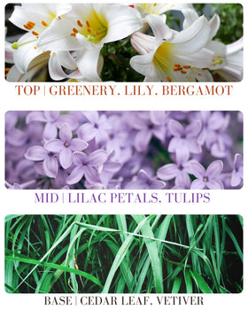 Kailuna Co. Lilac Blossom Mist dispensing puff showing easy application.