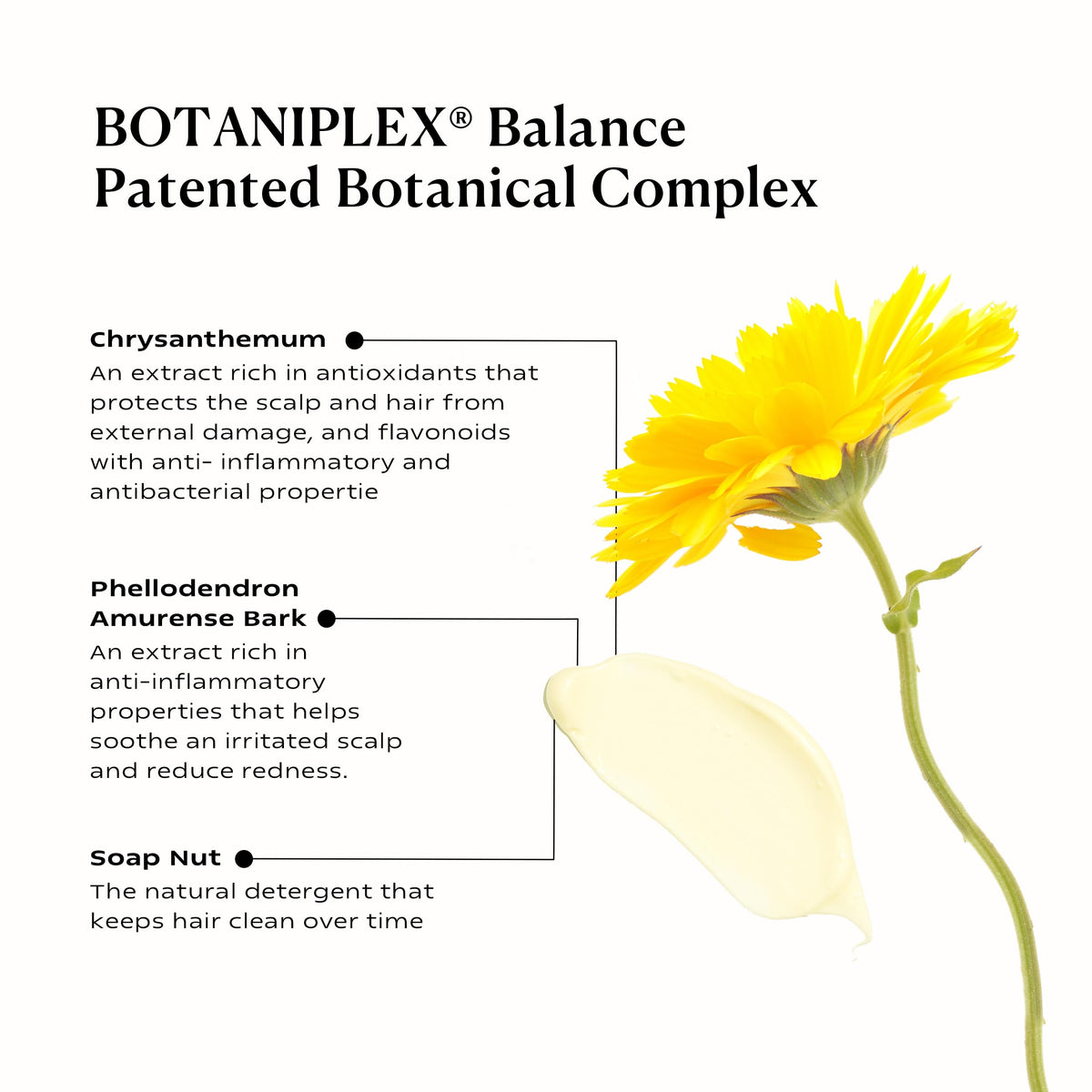 KAMEDIS Botaniplex Balance packaging hints at oil preservation and frizz control.