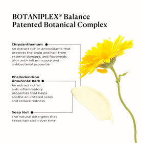 KAMEDIS Botaniplex Balance packaging hints at oil preservation and frizz control.