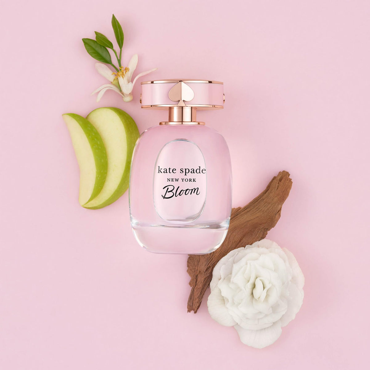 Box presentation reinforces premium branding for Kate Spade Bloom.